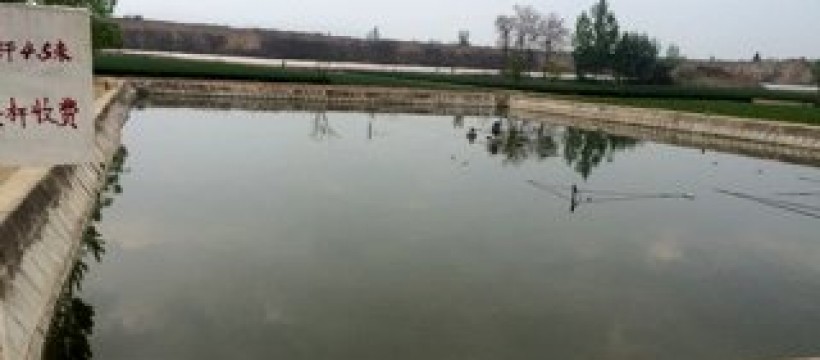 瓦窑渔池照片