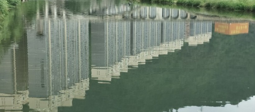 滨河桥野钓区照片