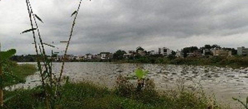 琴江河照片