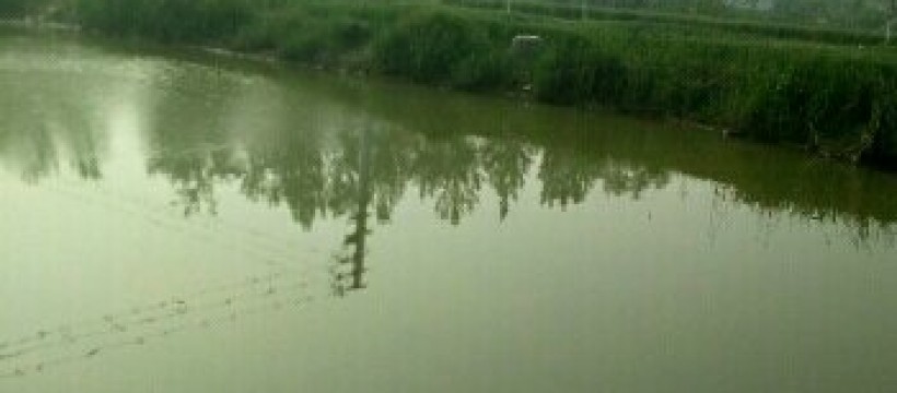 张谷山河照片