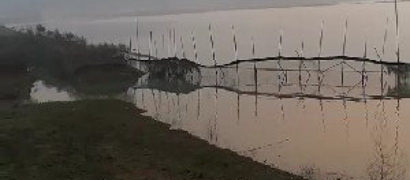 南漪湖垂钓中心照片