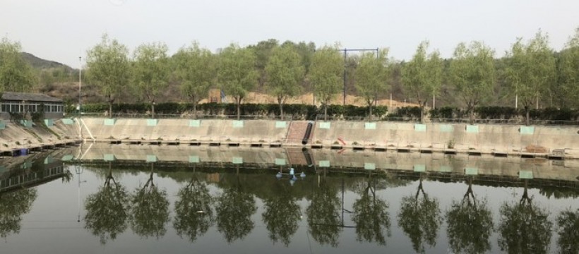 北京红门水源垂钓园照片