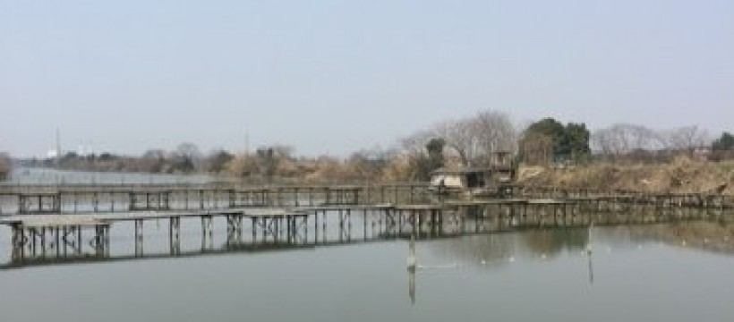 梅林桥钓鱼场照片