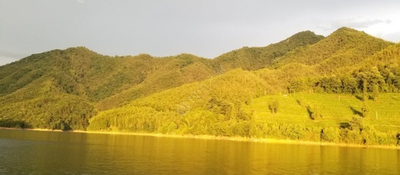 太平湖渔人农家乐照片
