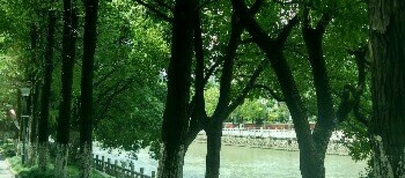 康泾塘河照片