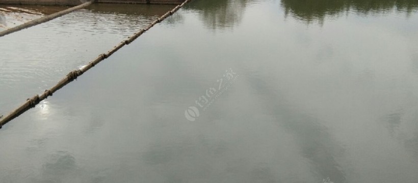 乌龙桥捞刀河照片