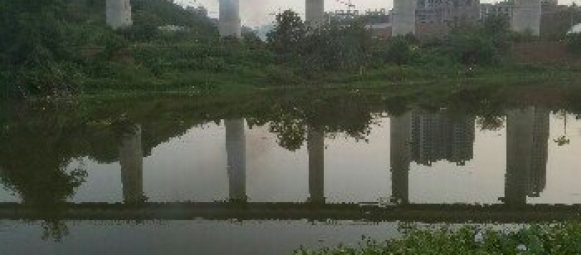 荊溪河照片