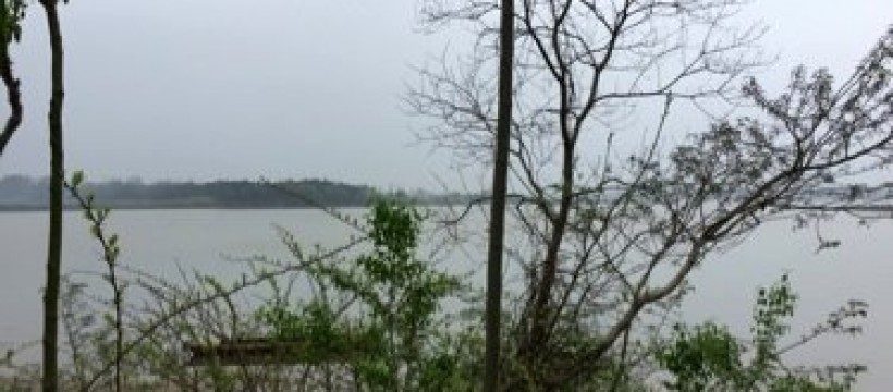 焦赛湖照片