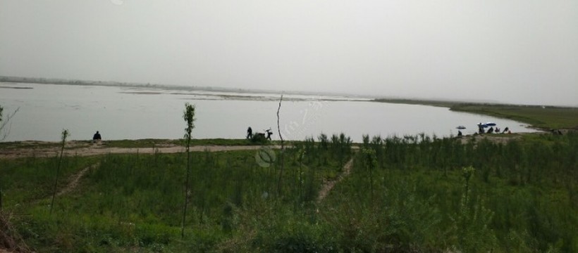 黄河钓场照片
