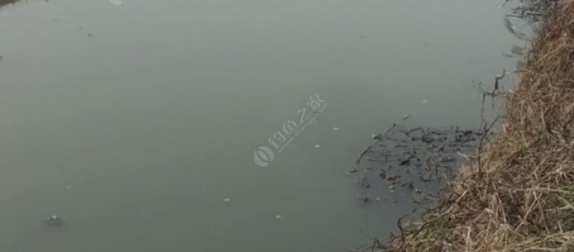 老漳河照片