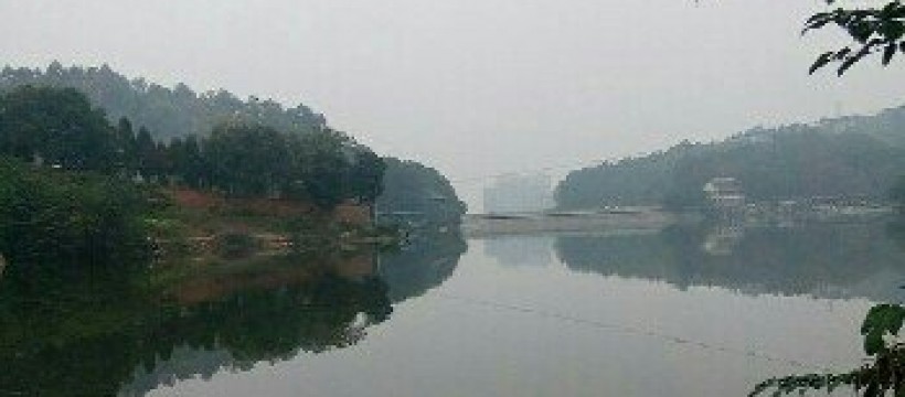 沱江和兴大桥段照片