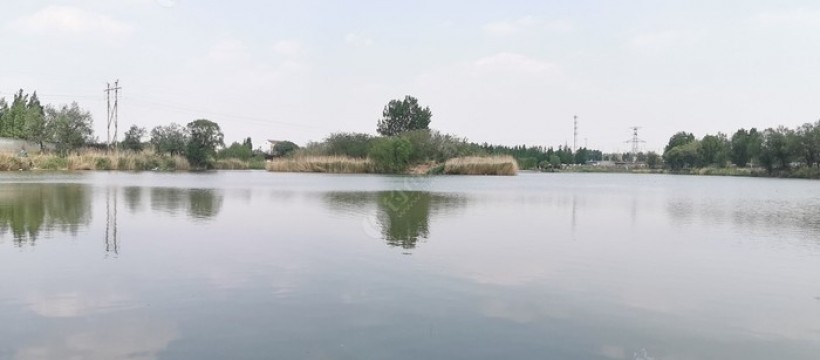 淄河照片