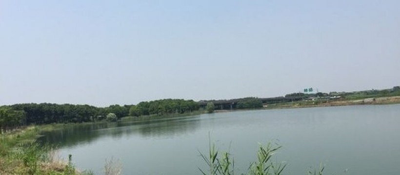 永安东湖照片