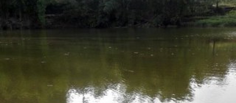 三叉河照片