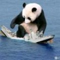 战恐局大熊猫