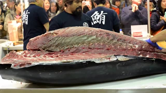 【视频】蓝鳍金枪鱼现杀现卖，中间黄油的部分卖出1万刀_视频封面