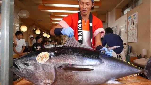 【视频】全球顶级食用鱼，2110万的蓝鳍金枪鱼屈居第二，第一的30年未出现_视频封面