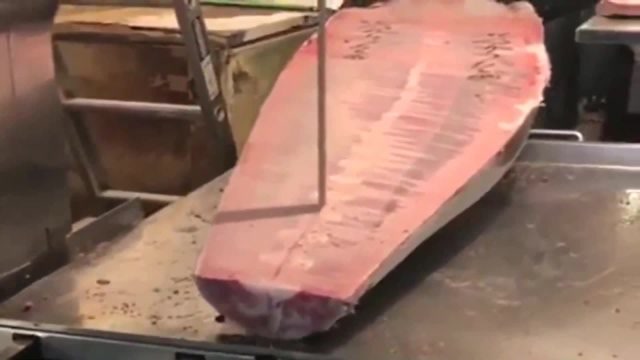 【视频】金枪鱼交易市场拍下300斤的超低温蓝鳍金枪鱼，油脂含量超过百分之三十_视频封面