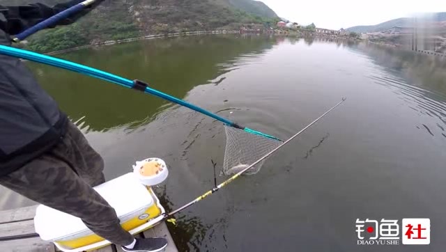 【视频】用7.2米手竿在水库钓获一尾大鲤鱼，鱼竿都被拉弯了！_视频封面