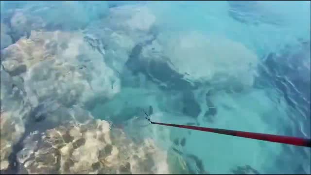 【视频】拿着细细的鱼竿在海边钓鱼，这地方我能玩一天！_视频封面