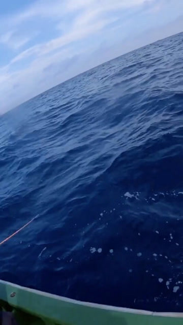 【视频】在海上钓鱼，力气一定要大，不然拉着拉着就没力气了！_视频封面