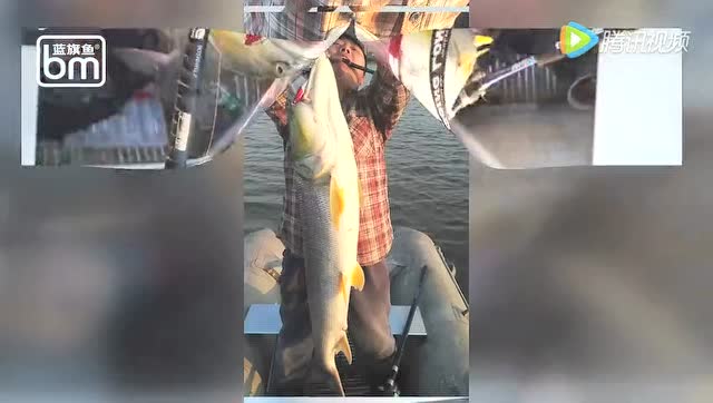 【视频】江苏泰州钓鱼爱好者用假饵 成功钓到一条超大鳡鱼_视频封面