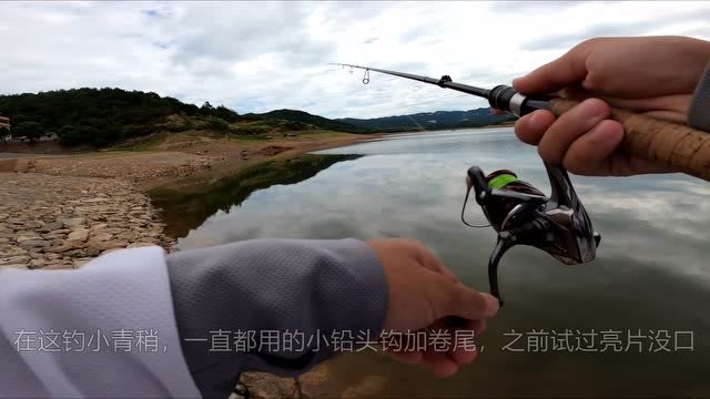 【视频】路亚找鱼是关键，水库大坝的下风口，鱼群就在这！_视频封面