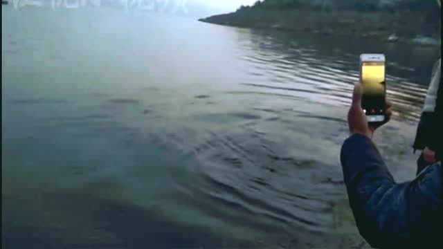 【视频】野外路亚40几斤大鳡鱼_视频封面