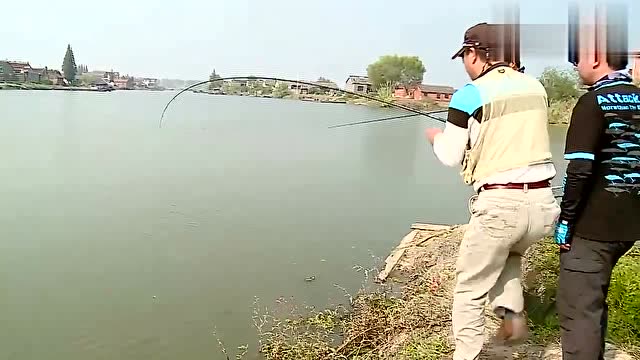 【视频】路亚实战：湖中多大鱼，这条鳡鱼当真不小！多少斤？50斤！_视频封面