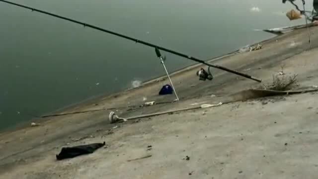 【视频】大哥钓鱼只顾聊天，没想到鱼竿被鱼拉走了，网友：难道这条鱼成精了吗？_视频封面