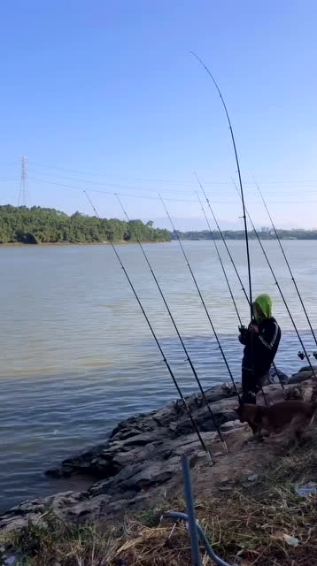 【视频】海竿钓鱼就是过瘾，一条大鱼上钩，海竿都拉弯了_视频封面