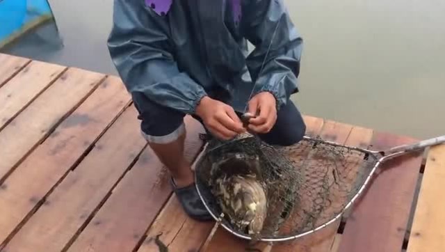 【视频】这么大的雨拿根海竿钓鱼，这小女孩钓鱼瘾也挺大的_视频封面