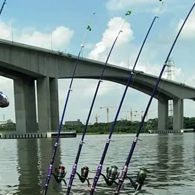 【视频】农村小伙在桥下用海竿钓鱼，一次性摆放了5支鱼竿，真会玩！_视频封面
