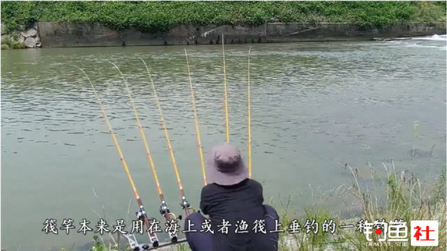 【视频】布置了5根筏竿，连连上鱼，钓鱼爱好者都忙坏了！_视频封面