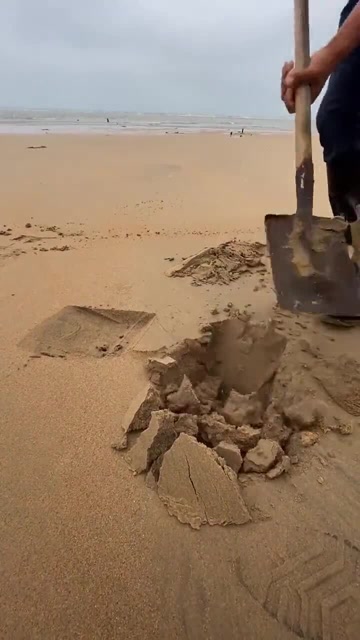 【视频】赶海太过瘾了，绵软的细沙下，竟隐藏着深海大货_视频封面
