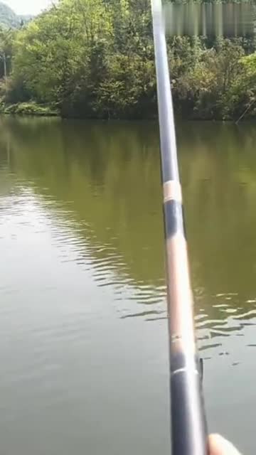 【视频】钓鱼看漂，这是啥鱼口，路人：太猛烈了_视频封面