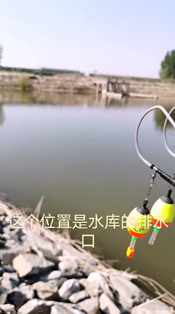 【视频】水库钓鱼的点位讲解_视频封面