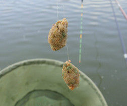特效钓鱼小药蚕蛹粉的详细制作过程