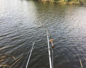 北方水库野塘钓鱼的方法