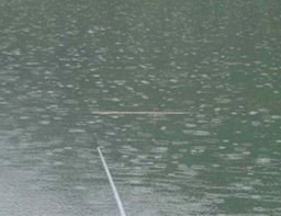 夏季雨后钓鱼小方法技巧