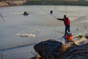 冰垂作钓鲤鱼的方法技巧