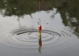 路亚钓鱼的方法