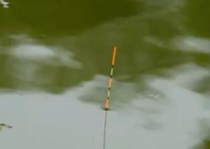 钓鱼怎么调漂